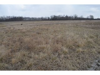 Property photo 34 - 127 Acres Offered in 8 Tracts - Allen & Dekalb County Land